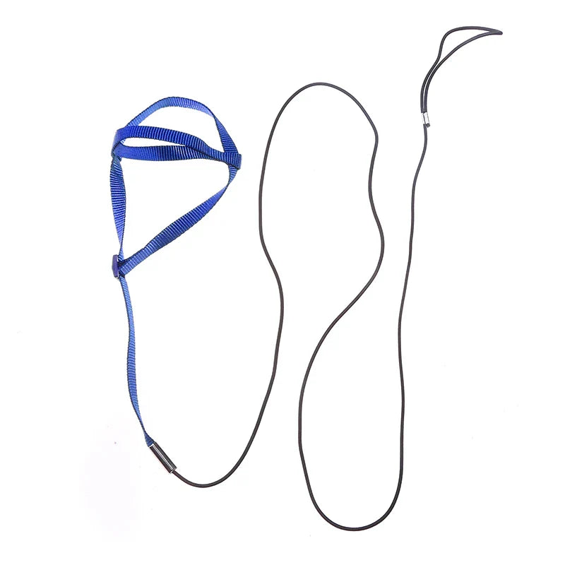 Parrot Bird Harness Leash Outdoor Activities Flying Traction Straps Band Flying Rope For Small Parakeets Cockatiels Bird