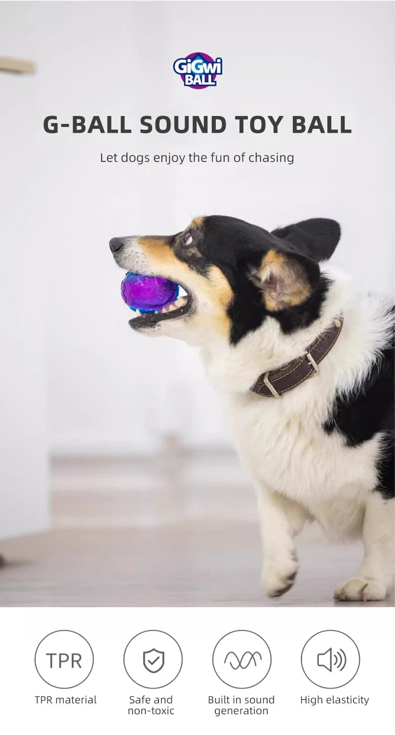 GiGwi Pet Dog Puppy Squeaky Chew Toys Sound Pure Natural Non-toxic Rubber Outdoor Play Small Large Dogs Funny Ball for Dogs