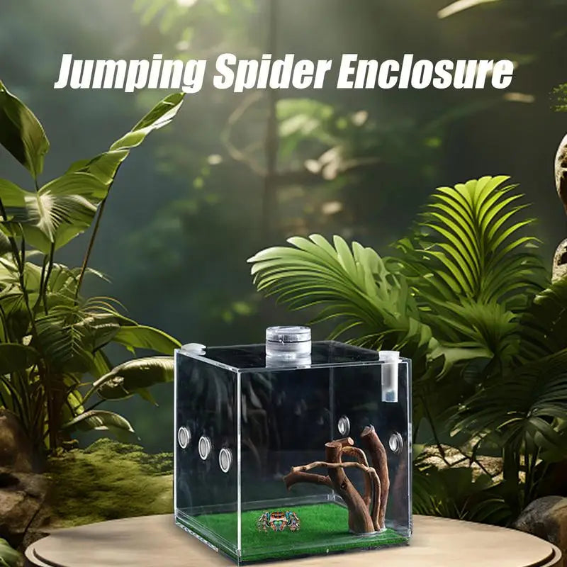 Jumping Spider Enclosure Tarantula Breeding Box Reptile Fogger Little Critters House Container Wood