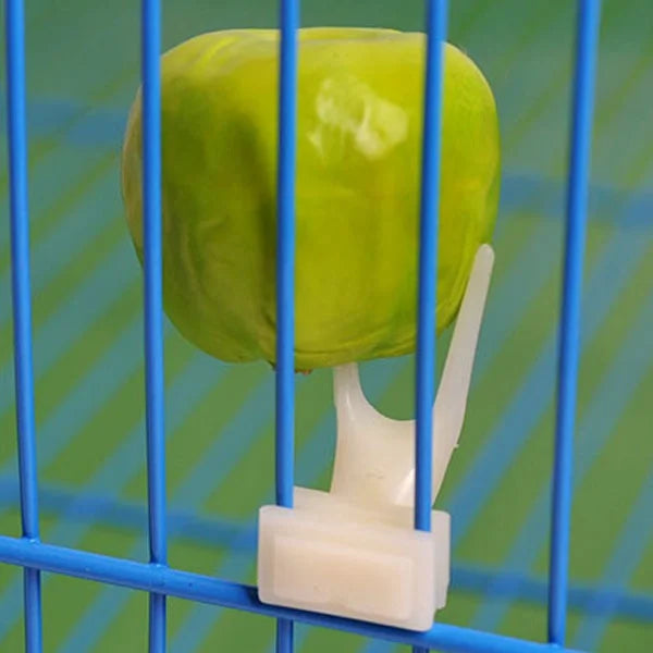 Delysia King Bird Fruits Feeding Fork