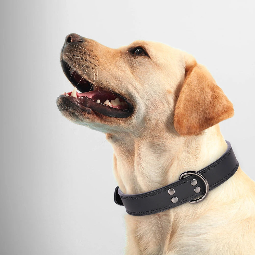 Soft Durable Real Leather Dog Collar Genuine Leather Pet Collars for Small Medium Large Dogs German shepherd Brown Black
