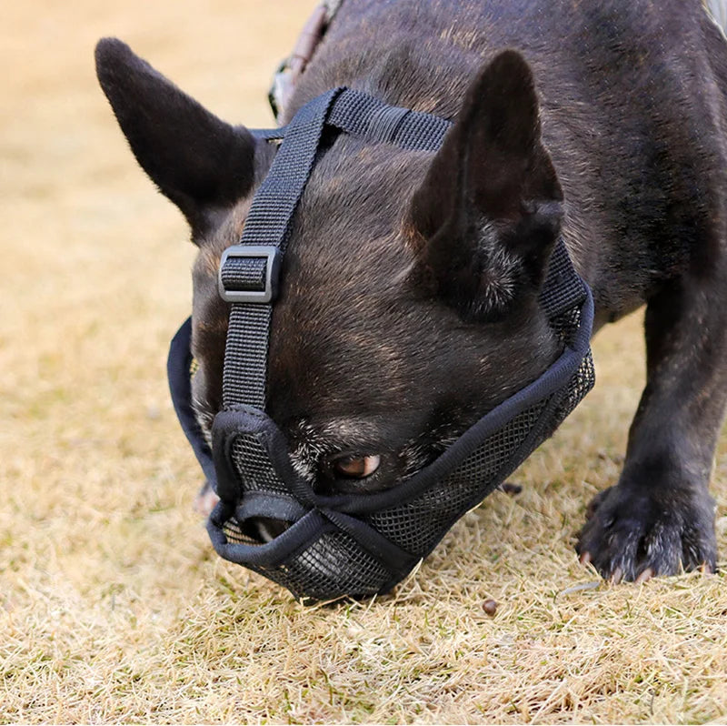 Adjustable Pet Dog Muzzle Breathable Pet Mouth Mask for Small Medium Large Dogs French Bulldog Anti-biting Muzzle Dog Accessory