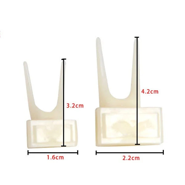 Delysia King Bird Fruits Feeding Fork