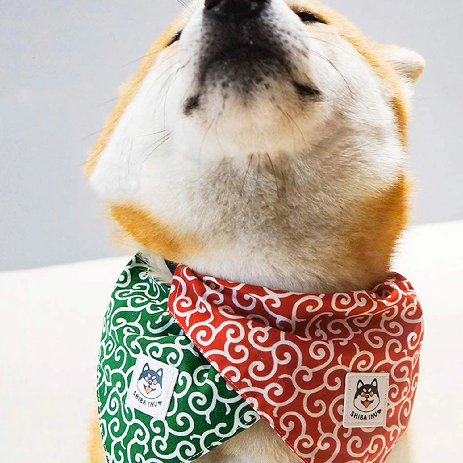 Dog Accessories NEW Pet Dog Bandana Collar Dog Collar Neckerchief Cute Puppy and Shiba Inu Printed Triangle Neck Scarf Saliva