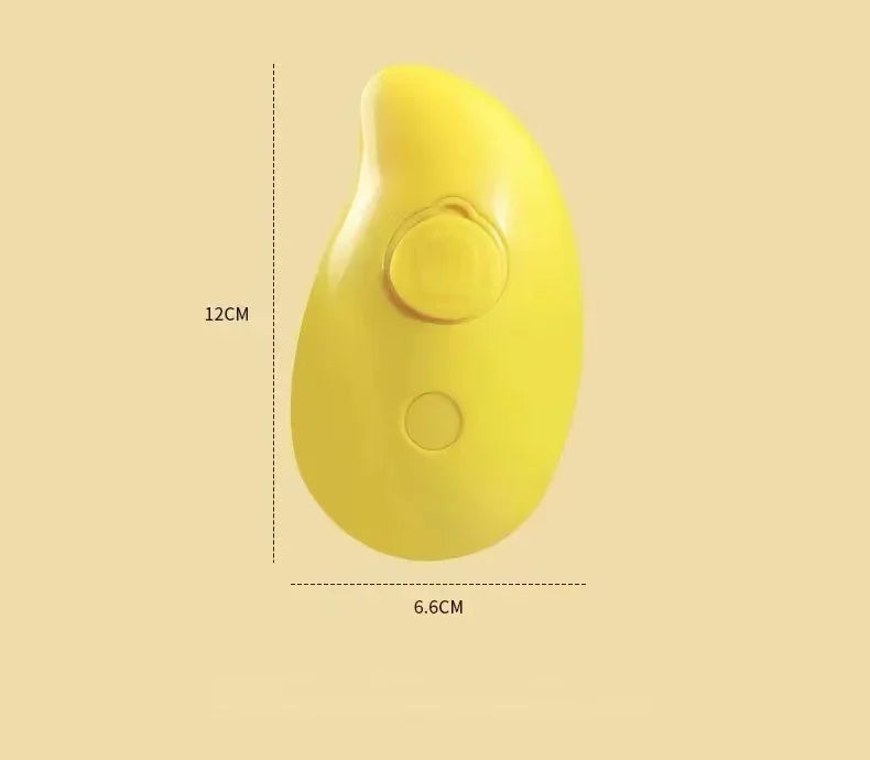 3-in-1 Dog Hair Brush Cat Hair Electric  Anti Flying Pet Cleaning Brush Steam Spray Massage Hair Removal Comb