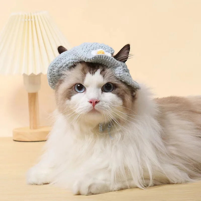 Cross-border selling cat and dog hats hand-knitted hats travel pet cute mini hats