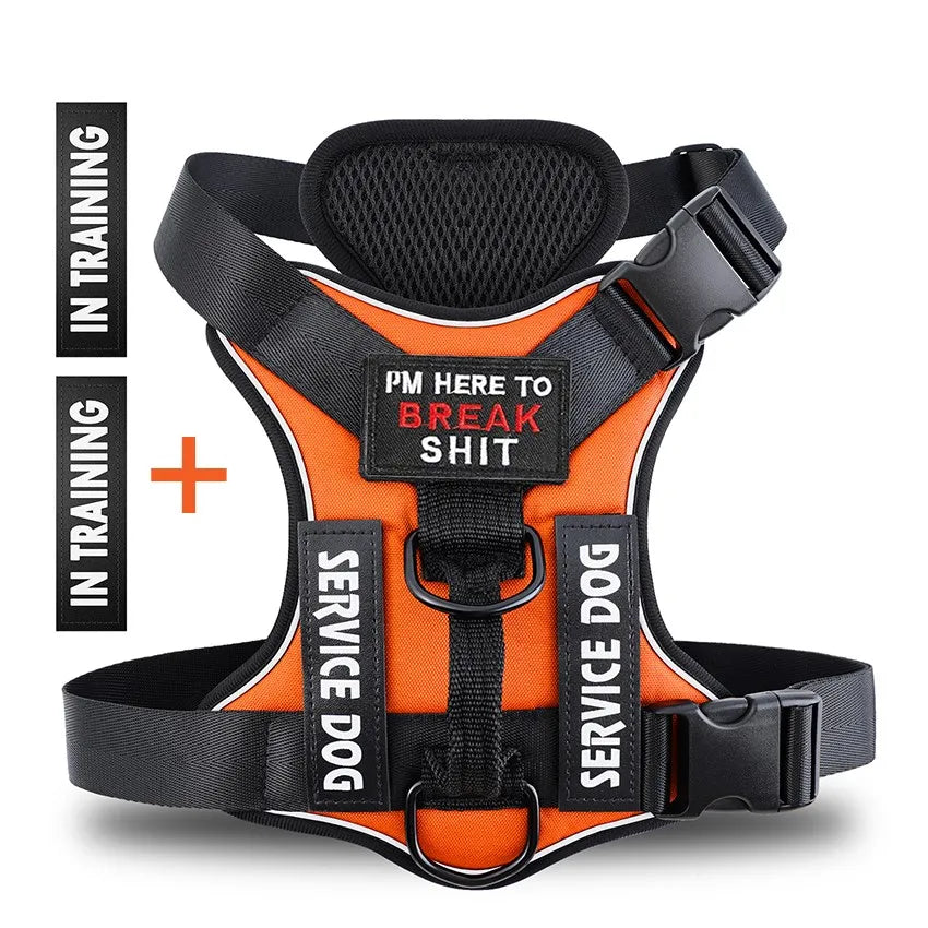 Reflective Pet Dog Harness No Pull Dog Vest Leash for Small Medium Large Dogs Walking Custom ID Tag Dog Accessories