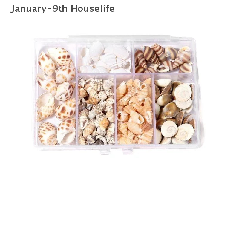 1 Box Sea Shells Spiral Shell Tiny Ocean Spiral Seashells Crafts Aquarium Decor Landscaping Accessories