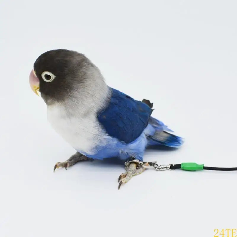 24TE Parrot Anti-bite Flying Training Rope in the Leg Bird Flying Leash 20 Feet
