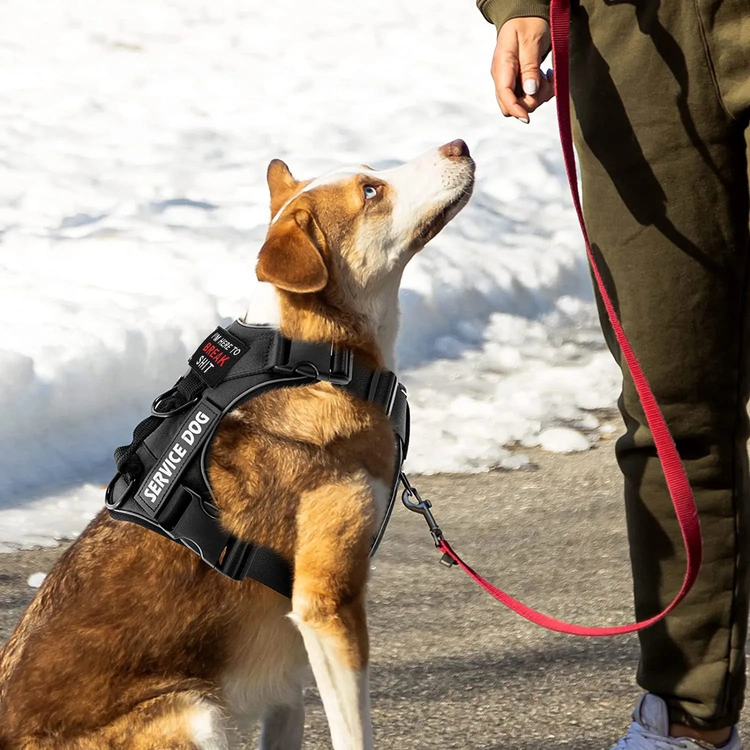Reflective Pet Dog Harness No Pull Dog Vest Leash for Small Medium Large Dogs Walking Custom ID Tag Dog Accessories