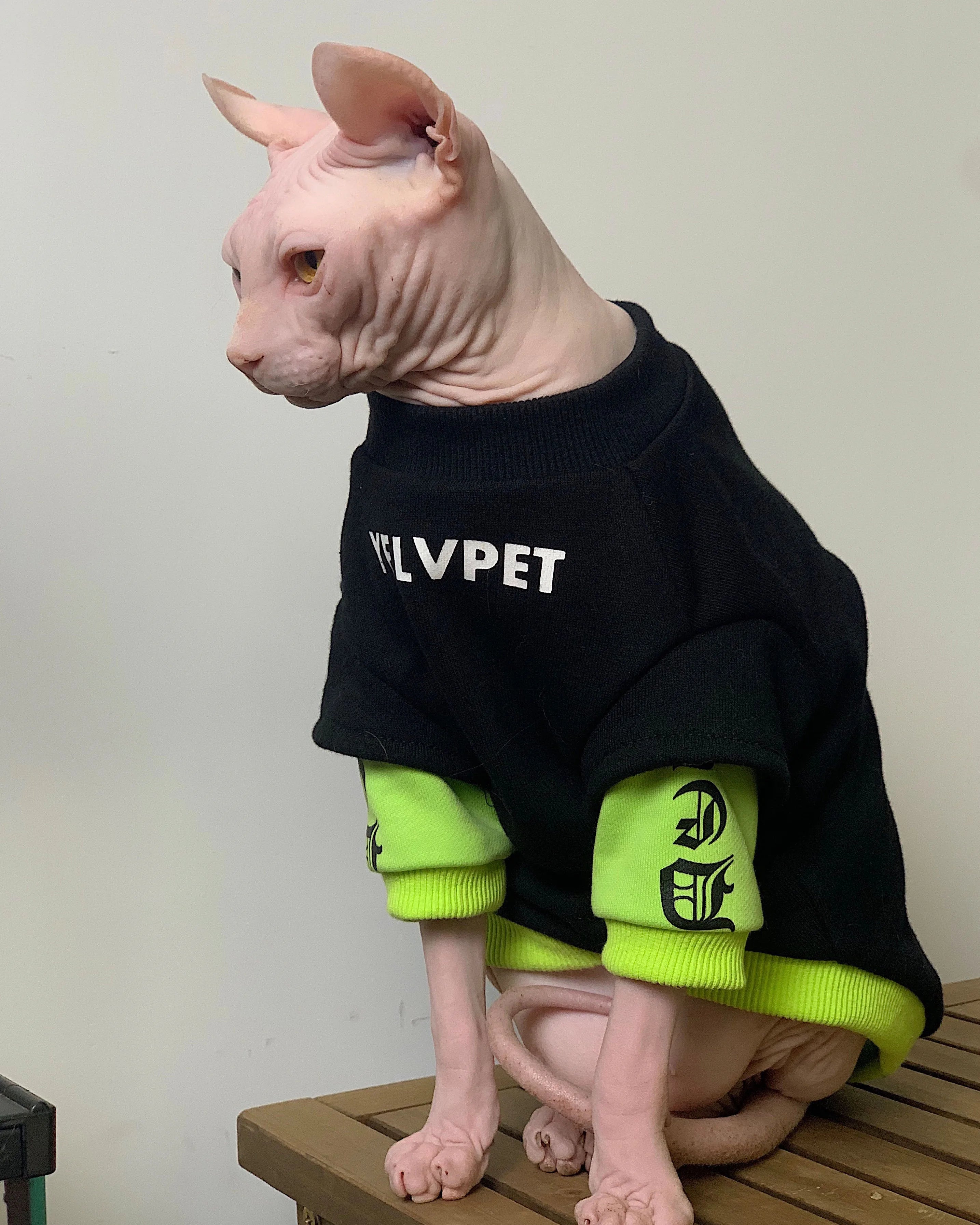 Fashion Cotton Sweatshirt for Sphynx Cat Clothing Winter Thick Long Sleeves Coat For Devon Rex Soft Loungewear For Kittens