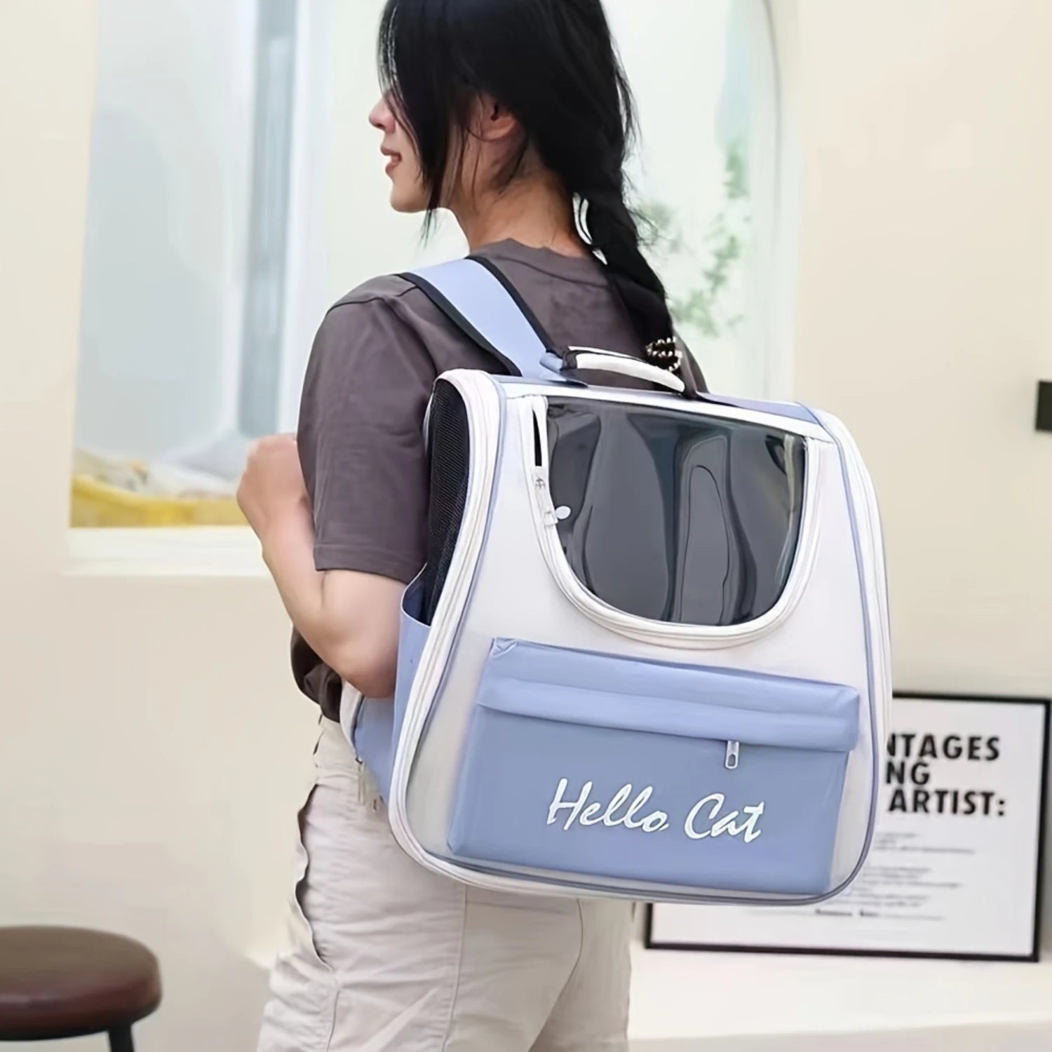 1Pc Cat Bag, Outing Portable Foldable Breathable Capsule Large Space Cat Bag