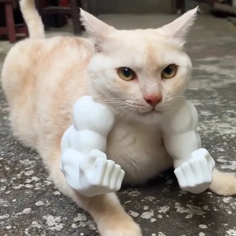 Cat Muscle Arm 3D Printed Neck Arm With Muscle Pet Cosplay Costume Accessories For Halloween Birthday Party Supplies Pet Product