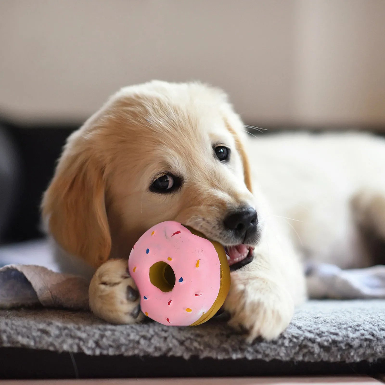 1PC Donut Dog Chew Toy Sound Toys Simulation Donuts Grinding Cleaning Tooth Relief Dog Toys Игрушки Для Собак Mascotas Perro