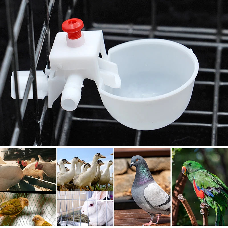 6/12Pcs Adjustable Poultry Drinker Bowl Plastic Automatic Pigeon Water Cups for Chikens Bird 9.5mm Water Drinking Fountain