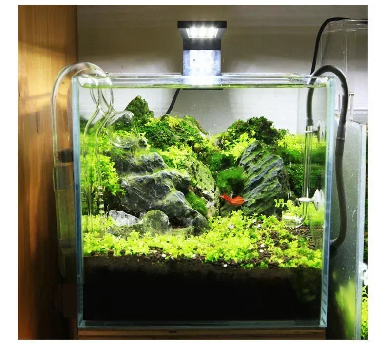 Chihiros C Series ADA Style Plant Grow LED Light Mini Nano Clip Aquarium Water Plant Fish Tank New Arrived!