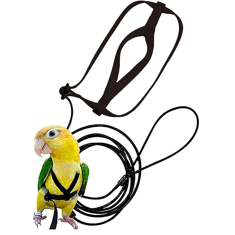 Training Flying Traction Rope Anti-Bite Training Rope Bird Leash Parrot Flying Rope Parrot Harness Bird Harness Leash