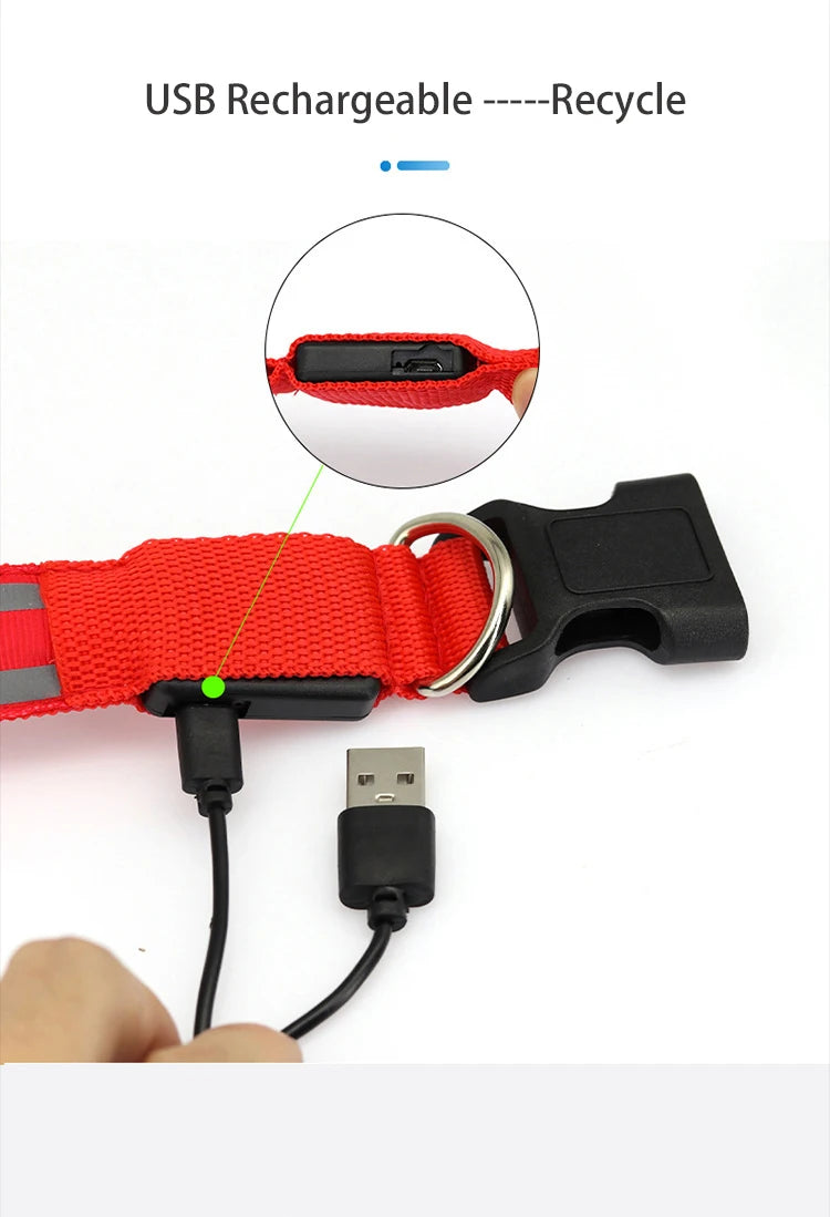 Reflective Dog Collar Luminous Night Safety Usb Rechargeable LED Dog Collar Light For Small Dogs Cat Pet Collar Para Perro XS-XL