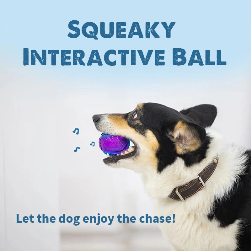 GiGwi Pet Dog Puppy Squeaky Chew Toys Sound Pure Natural Non-toxic Rubber Outdoor Play Small Large Dogs Funny Ball for Dogs