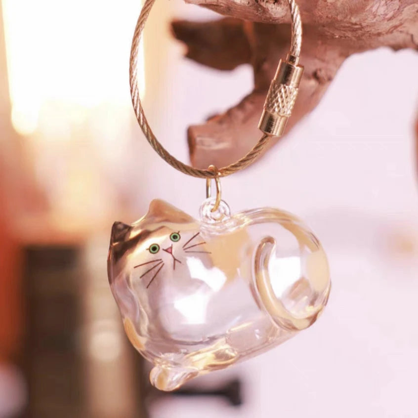 Stylish Cat Key Holder Fluffy Ball Hair Collector Transparent Case Fashionable Pet Accessories for Kitty Owners