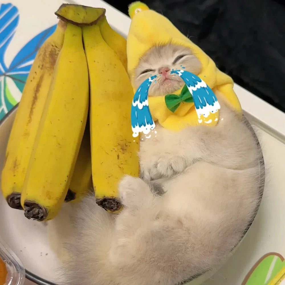 Banana Cat meme Mini Headset Cute Cat Prop Hat Banana Cat Kitten Pet Bowknot Clothing Cute Accessories