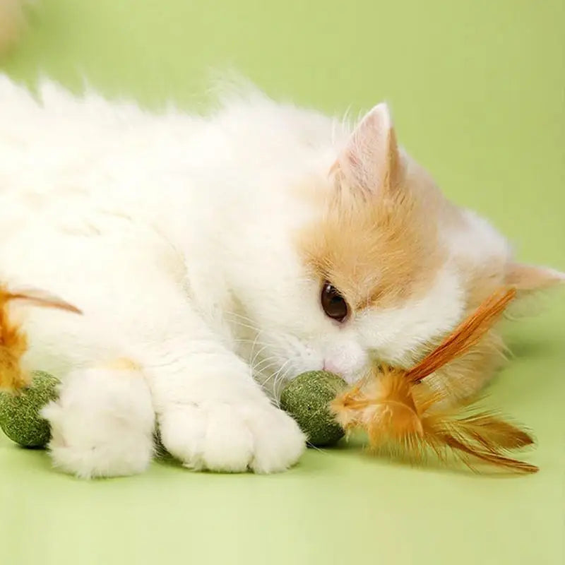 Natural Catnip Feather Balls Lickable Cat Grass Snack Kitten Scratchers Toy Treats Chewing Fresh Breath Cat Toys Cat Treats