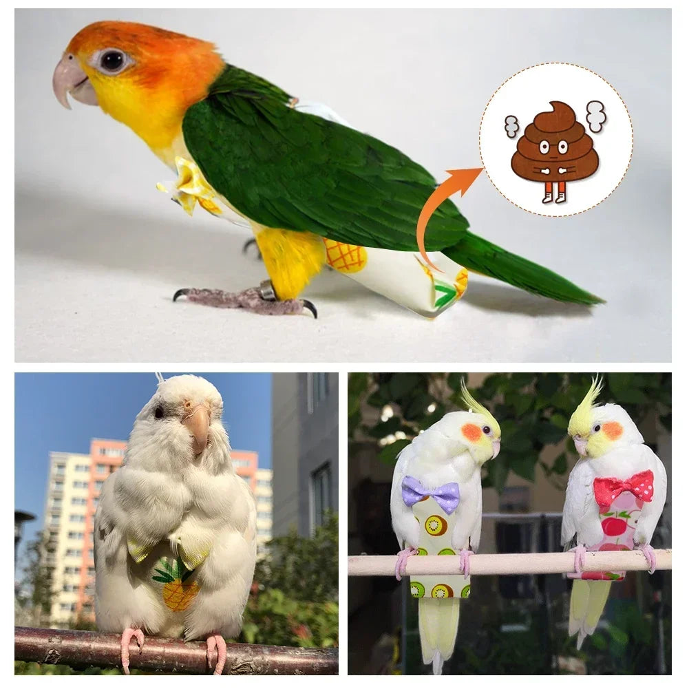 Parrot Pigeon Diaper Flight Suit Bird Nappy Parrot Clothes for Green Cheek Parakeet Cockatiel Conure Small Medium Birds