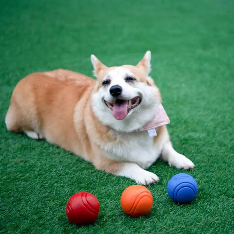 1PC Pet Dog Ball Bouncy Rubber Solid Ball Resistance To Dog Chew Toys Outdoor Throwing Recovery Training for Dogs Pet Supplies