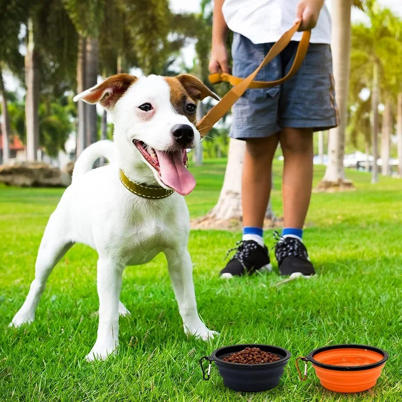 Pet Folding Silicone Bowl Large Outdoor Pet Travel Bowl Collapsible Dog Food Bowl Water Portable Puppy Food Container Feeder