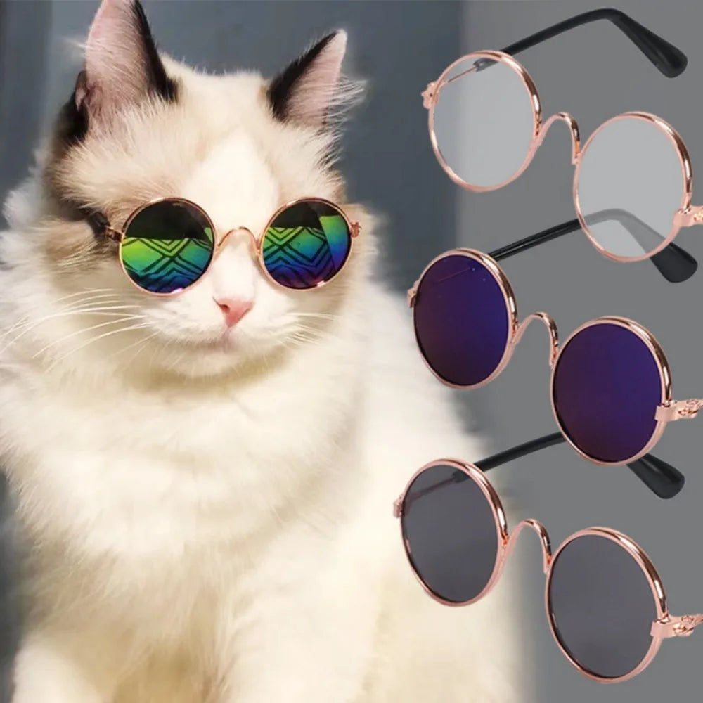 Fashionable Pet Sunglasses Metal Round Frame Puppy Cat Crown Prince Glasses for The Trend of Internet Famous Pet Photography