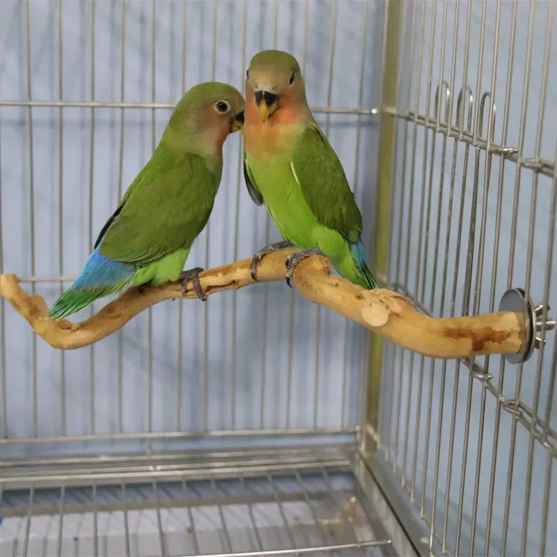 Natural Parrot Perch Bird Stand Tree Stick Paw Grinding Fork Parakeet Climbing Bird Standing Branches Toys Birdcage Accessories