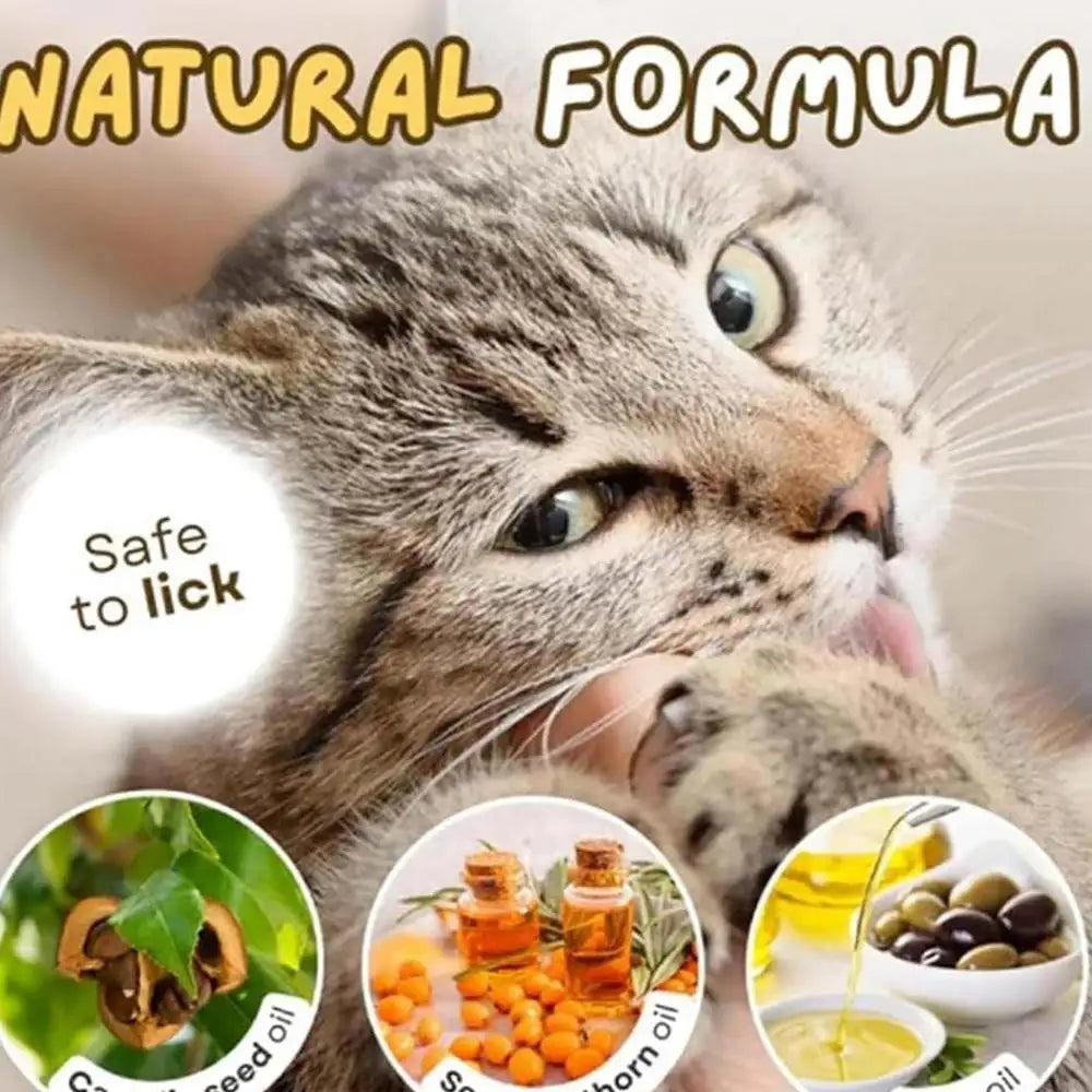 Paw Shape Cat Snack Natural Freeze-dried Cat Paw Footprint Shaped Biscuits Cat Treats Oral Cleaning For Cats Pets