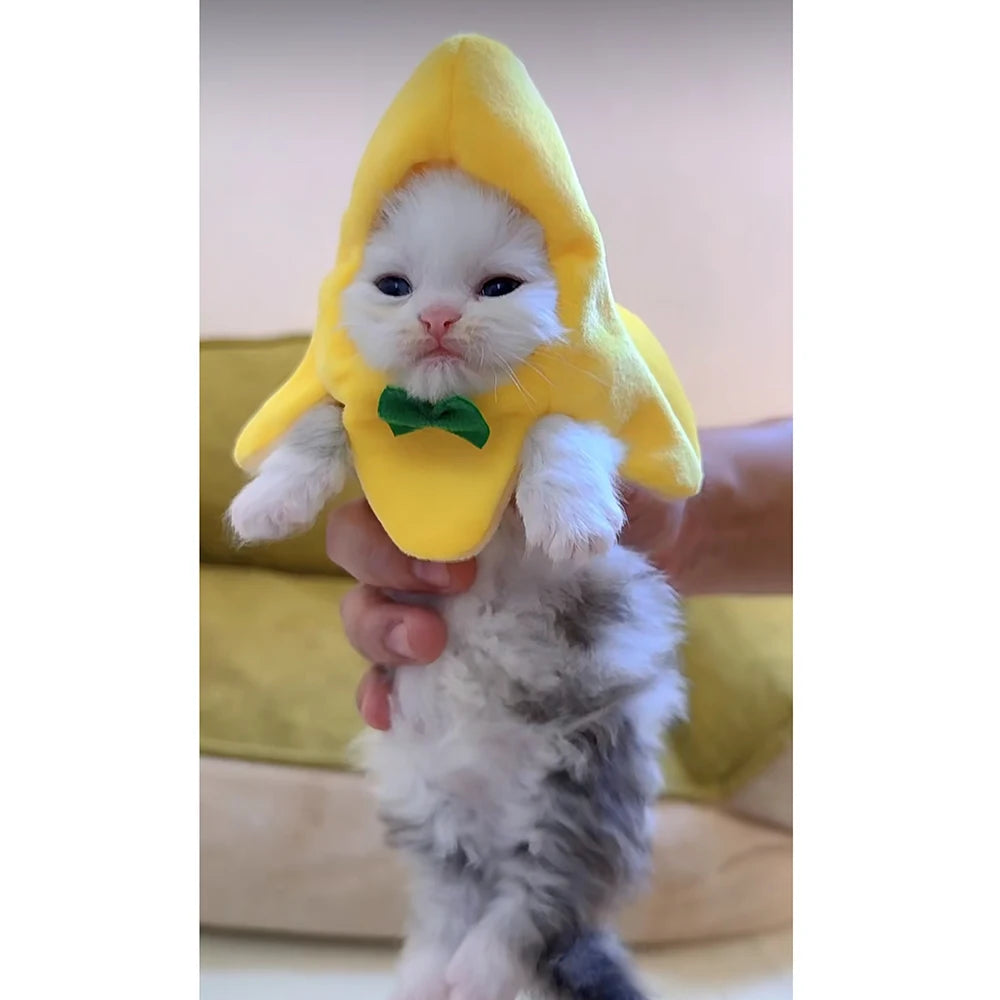 Banana Cat meme Mini Headset Cute Cat Prop Hat Banana Cat Kitten Pet Bowknot Clothing Cute Accessories