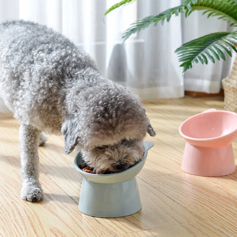 Tilted Cat Food Bowl Elevated Cat Bowl Ergonomic Cat Food Dish Anti Vomiting Raised Cat Food Bowl Non Slip for Cats Dogs