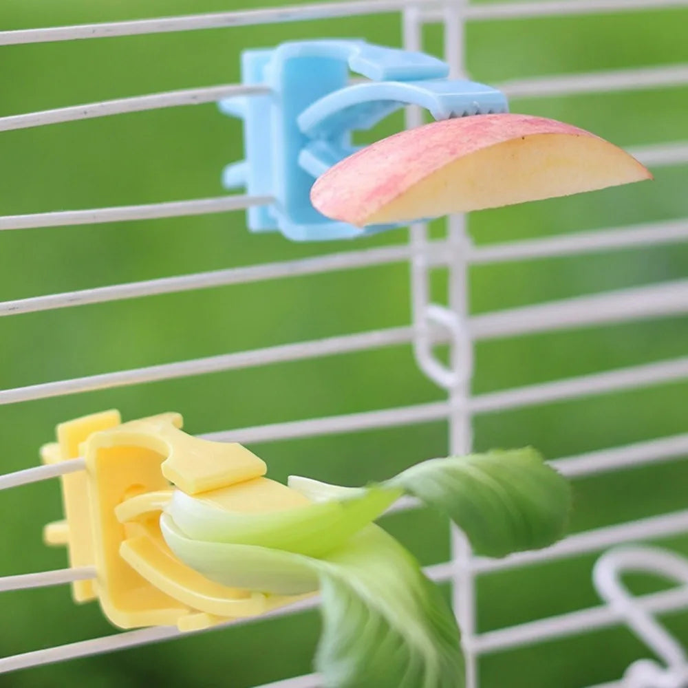Cute Small Pet Bird Food Holder Parrot Fruits Vegetables Clip Cuttlefish Bone Feeder Device Clamp Bird Cage Accessories