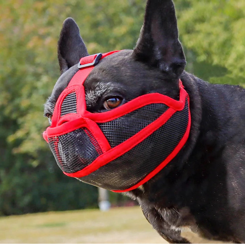 Adjustable Pet Dog Muzzle Breathable Pet Mouth Mask for Small Medium Large Dogs French Bulldog Anti-biting Muzzle Dog Accessory