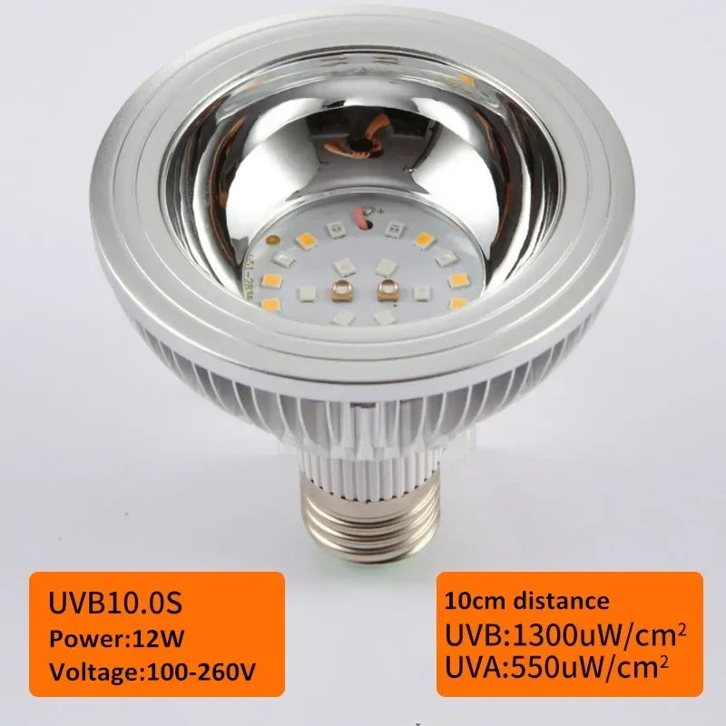 Reptile UVA+UVB Lamp Bulb Turtle Basking UV Light Bulbs Heating Lamp Lizard Bearded Dragon Terrarium Temperature Controller
