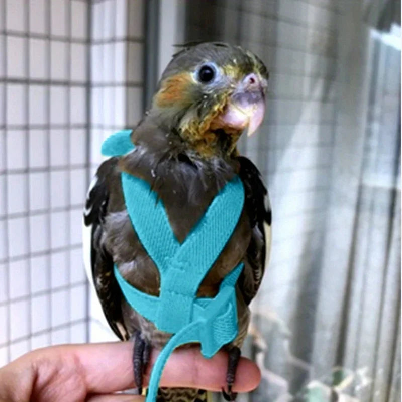 Adjustable Parrot Bird Harness Leash Set Anti-bite Training Harness Parrots Outdoor Flying Rope Cockatiel Small Birds Supplies