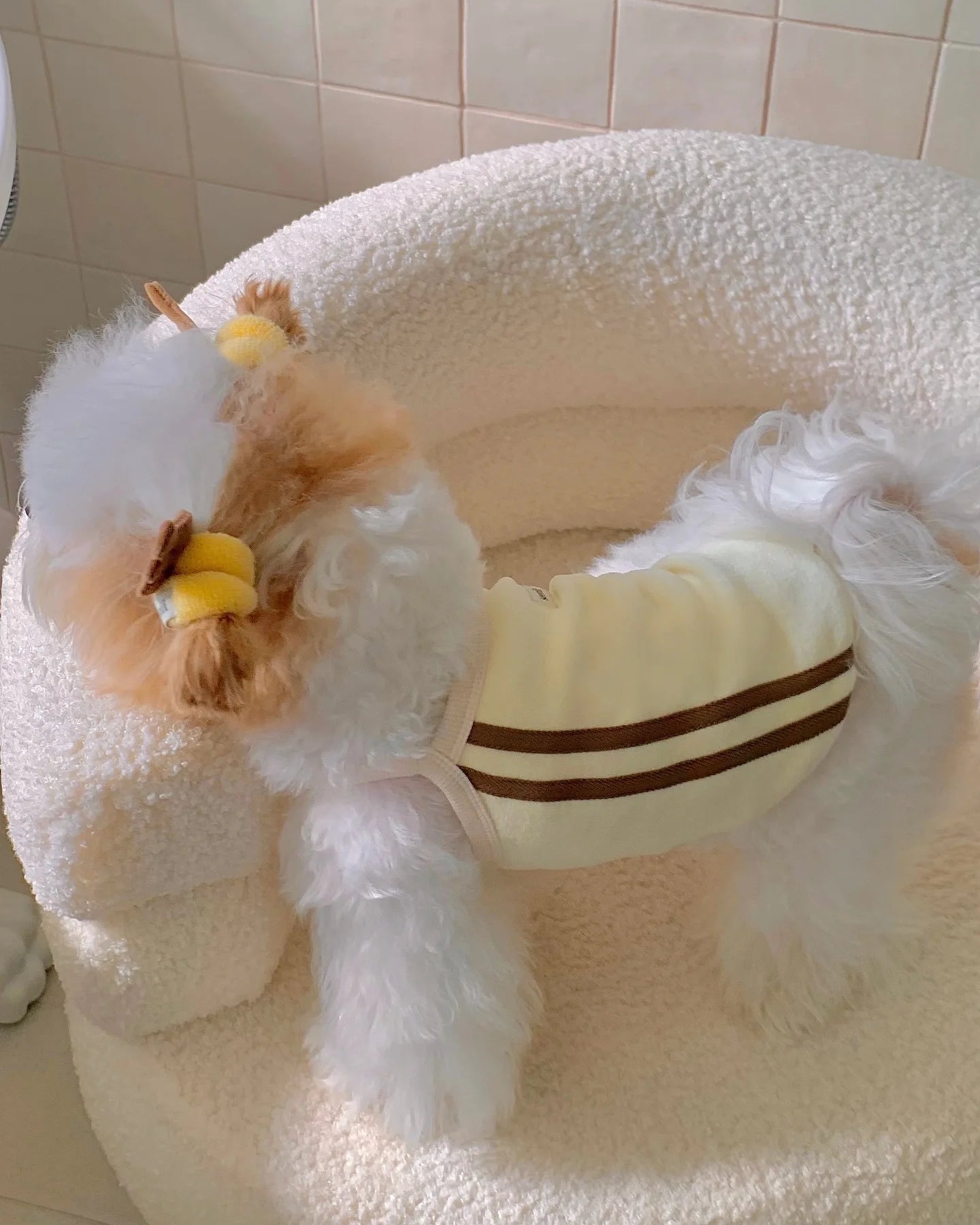 Pet Spring/Summer Dog Sports Tank Top Strap Cool Sunscreen Tank Top Teddy Cat Summer Dress Puppy Clothes