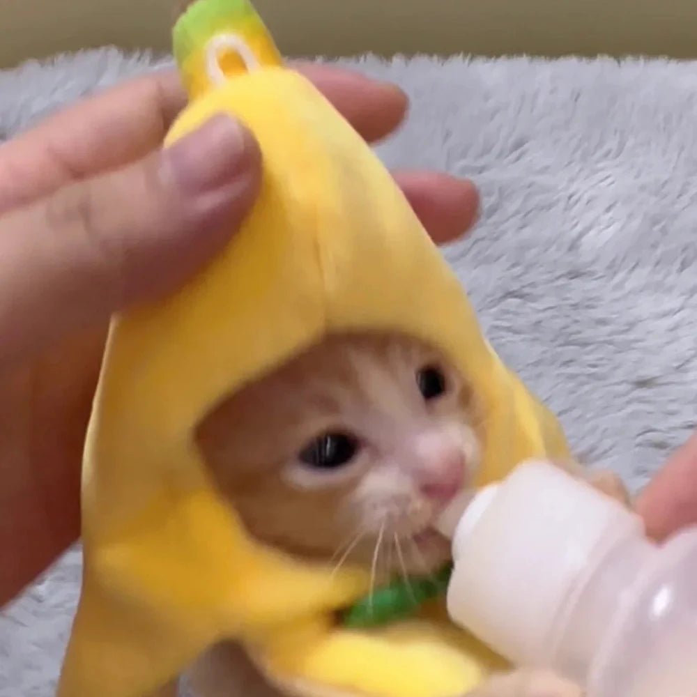 Banana Cat meme Mini Headset Cute Cat Prop Hat Banana Cat Kitten Pet Bowknot Clothing Cute Accessories