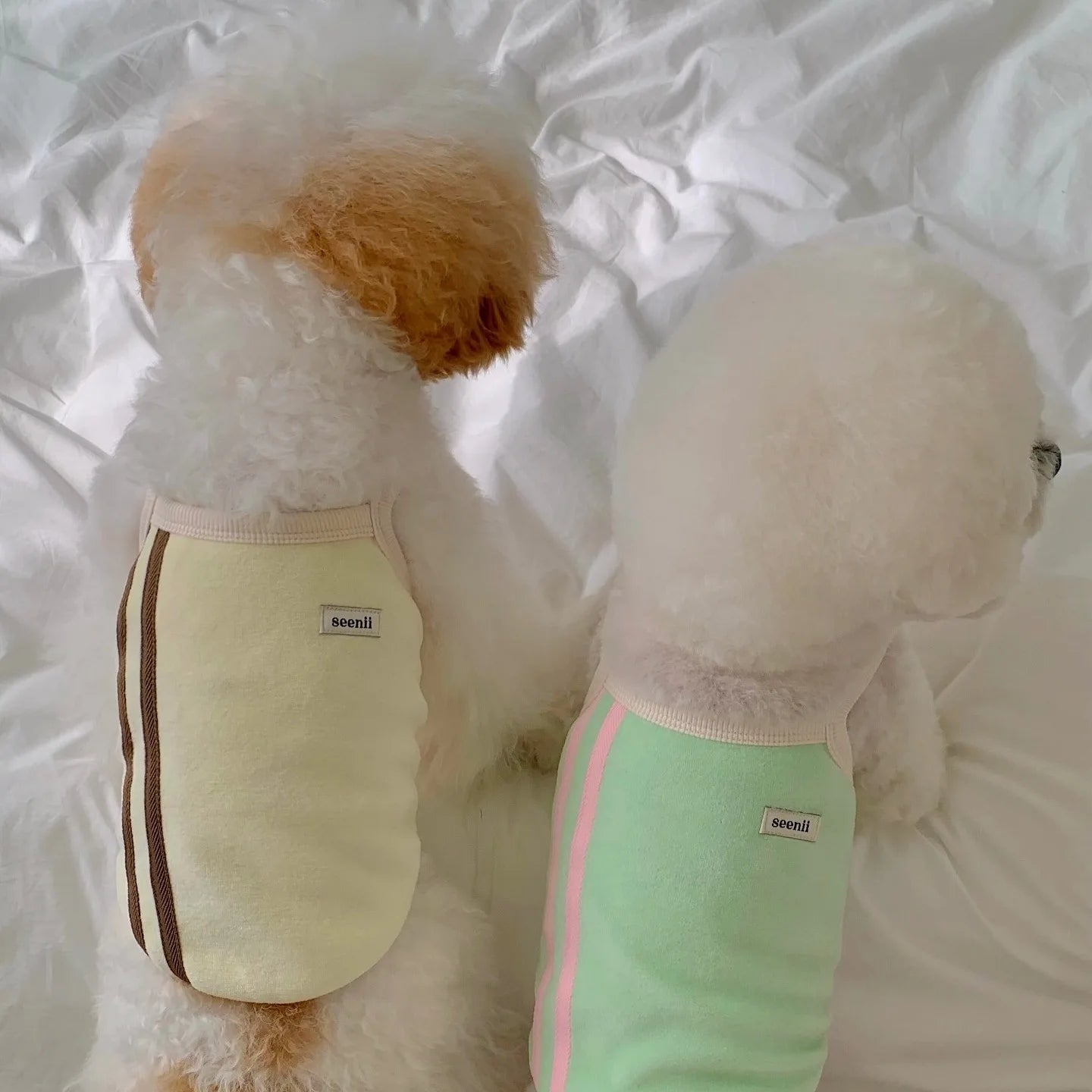 Pet Spring/Summer Dog Sports Tank Top Strap Cool Sunscreen Tank Top Teddy Cat Summer Dress Puppy Clothes
