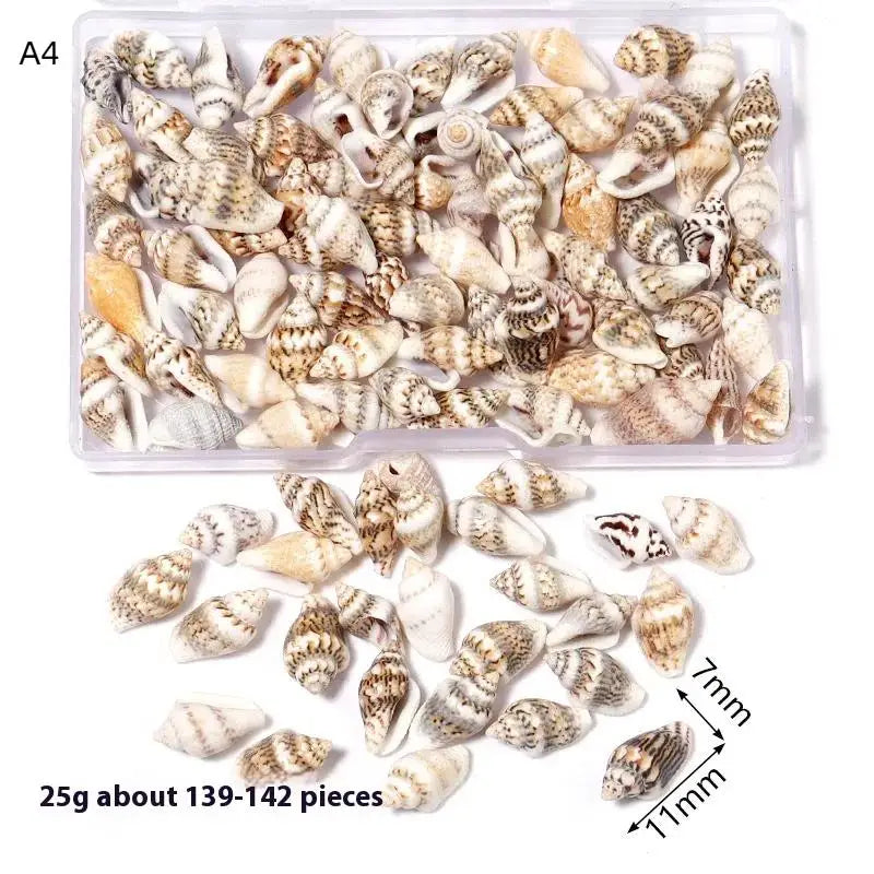 1 Box Sea Shells Spiral Shell Tiny Ocean Spiral Seashells Crafts Aquarium Decor Landscaping Accessories