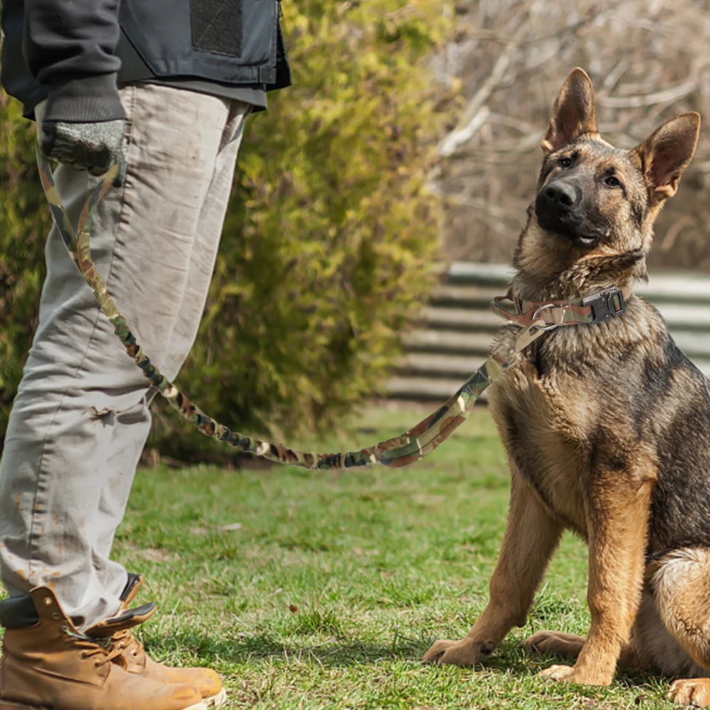 Durable Military Tactical Dog Collar Bungee Leash Set Pet Nylon Walking Training Collar For Medium Large Dogs German Shepard
