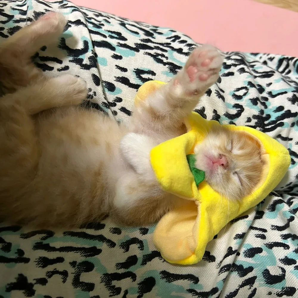 Banana Cat meme Mini Headset Cute Cat Prop Hat Banana Cat Kitten Pet Bowknot Clothing Cute Accessories