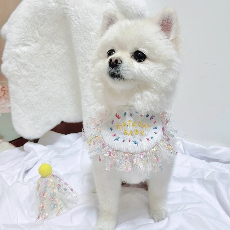 Pet Cat Dog Birthday Party Lace Suit Hat Scarf Dog Bib Saliva Towel Mesh Series Bear Birthday Jewelry Dress Up Accessories