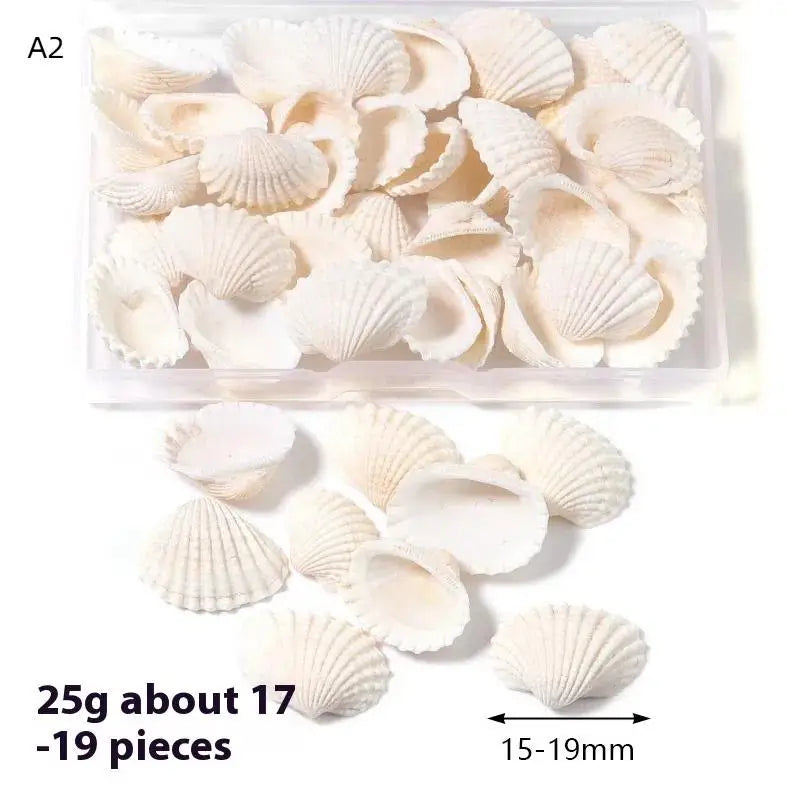 1 Box Sea Shells Spiral Shell Tiny Ocean Spiral Seashells Crafts Aquarium Decor Landscaping Accessories