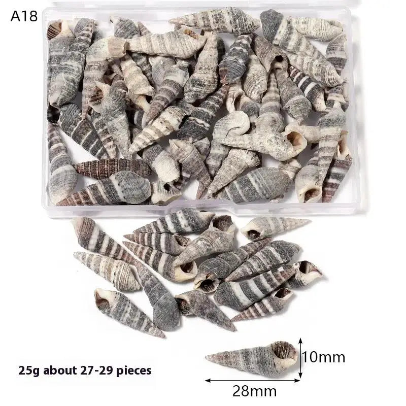 1 Box Sea Shells Spiral Shell Tiny Ocean Spiral Seashells Crafts Aquarium Decor Landscaping Accessories
