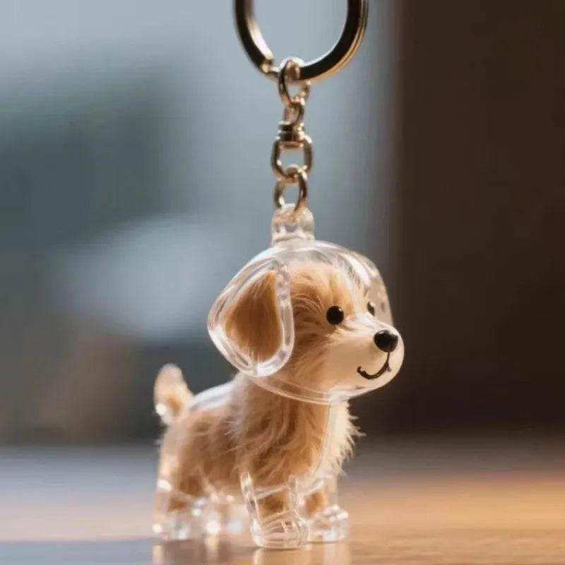Cat Dog Keychain Pet Hair Storage Box Cute Pets Hair Fur Collection Memory DIY Pendants Bag Decoration Hanging Souvenirs Gift
