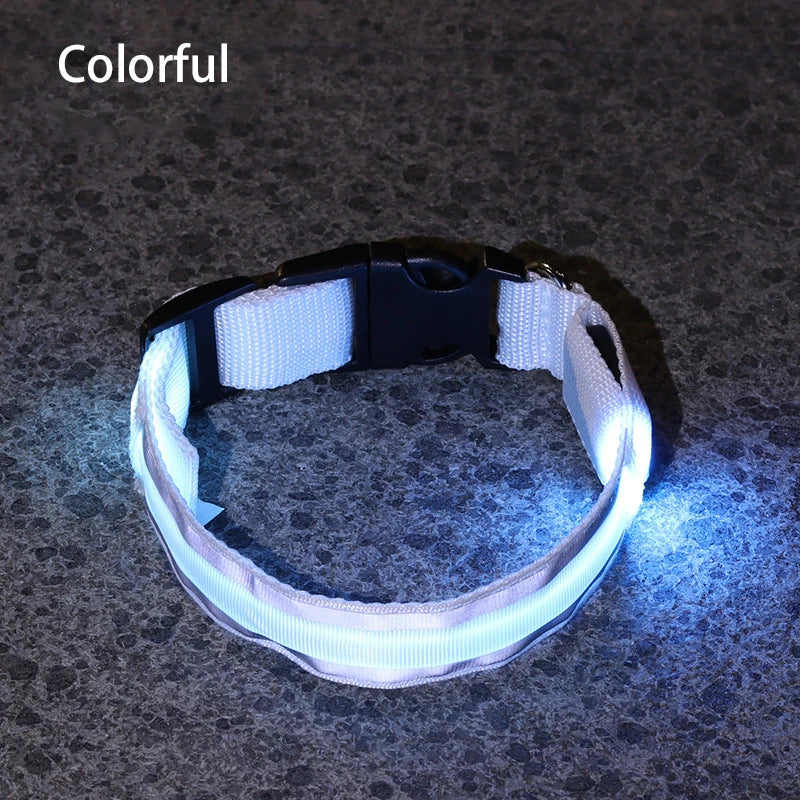 Reflective Dog Collar Luminous Night Safety Usb Rechargeable LED Dog Collar Light For Small Dogs Cat Pet Collar Para Perro XS-XL