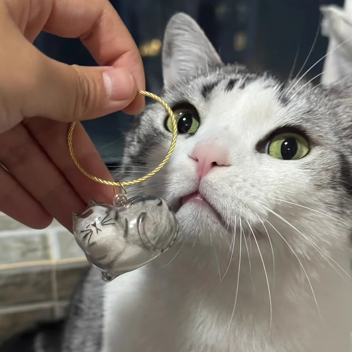 1/3pcs Transparent Cat Memorial Capsules Pet Hair Keepsake Box with Hanging Loop for Cat Lovers Gift Pendant Keychain Pet Access